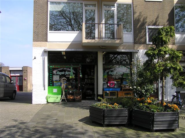 Image of Ridderkerk, Prinses Margrietstraat 36