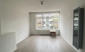 Rotterdam, Peppelweg 19 C image