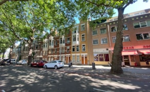 Rotterdam, Rodenrijselaan 36 A & B image