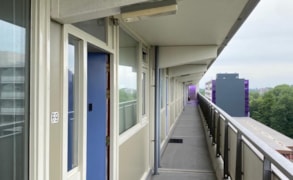 Amsterdam, Tjasker 69 image