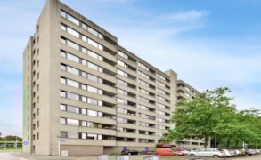 Eindhoven, Penelopestraat 201 image