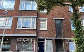 Den Haag, Linnaeusstraat 217 image