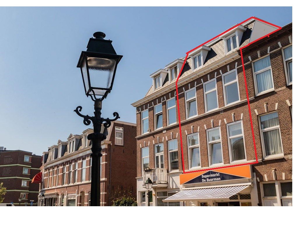 Den Haag, Renbaanstraat 113 en 113A image