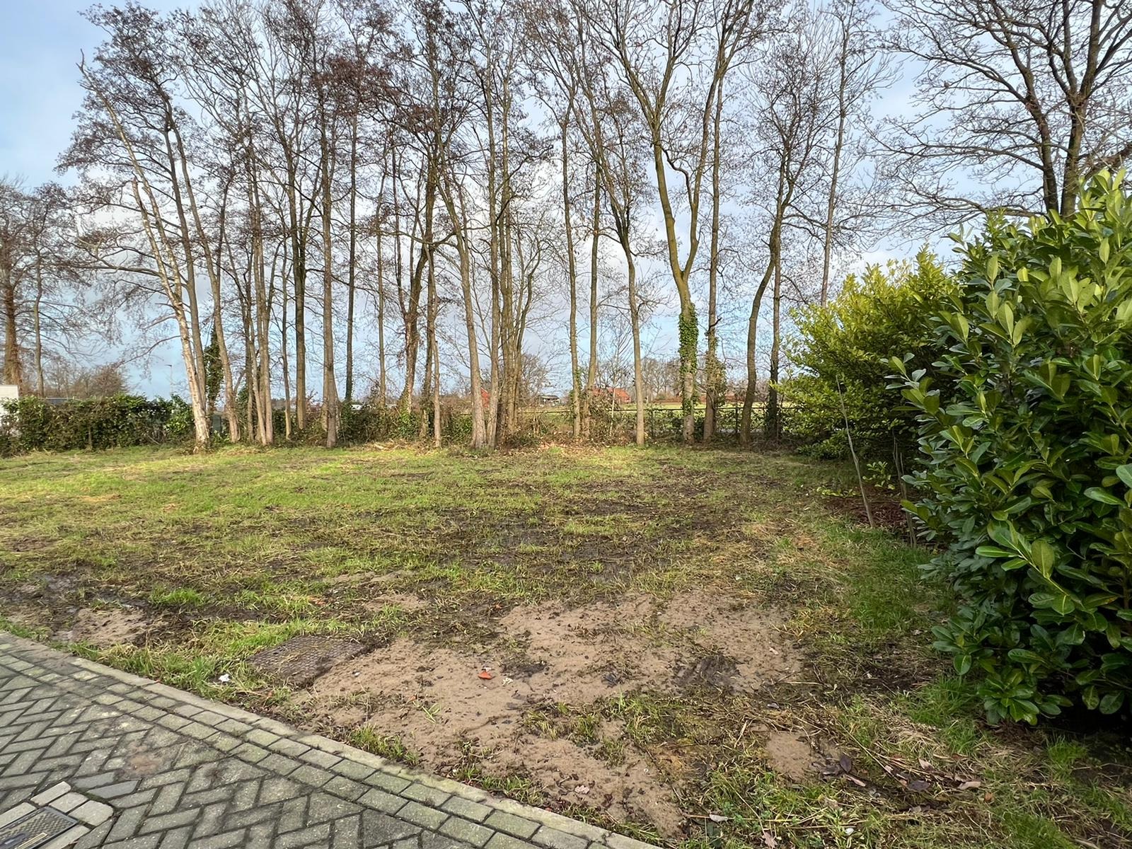 Wernhout, Kleine Heistraat 16 K098 image