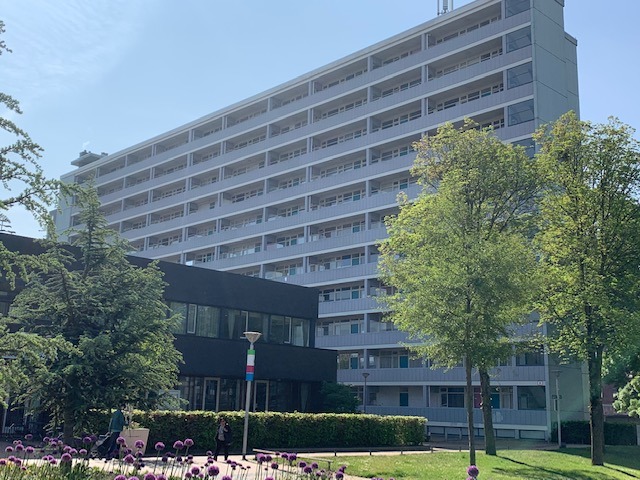 Rotterdam, Plein 1953 166 image