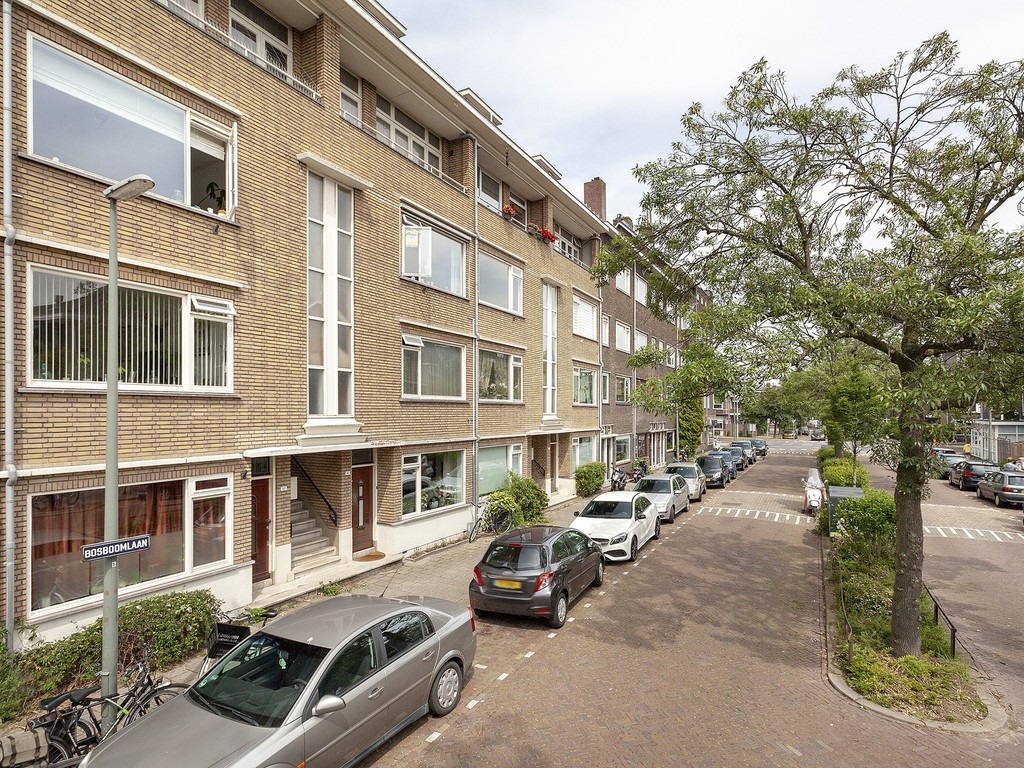 Schiedam, Bosboomlaan 12 a image
