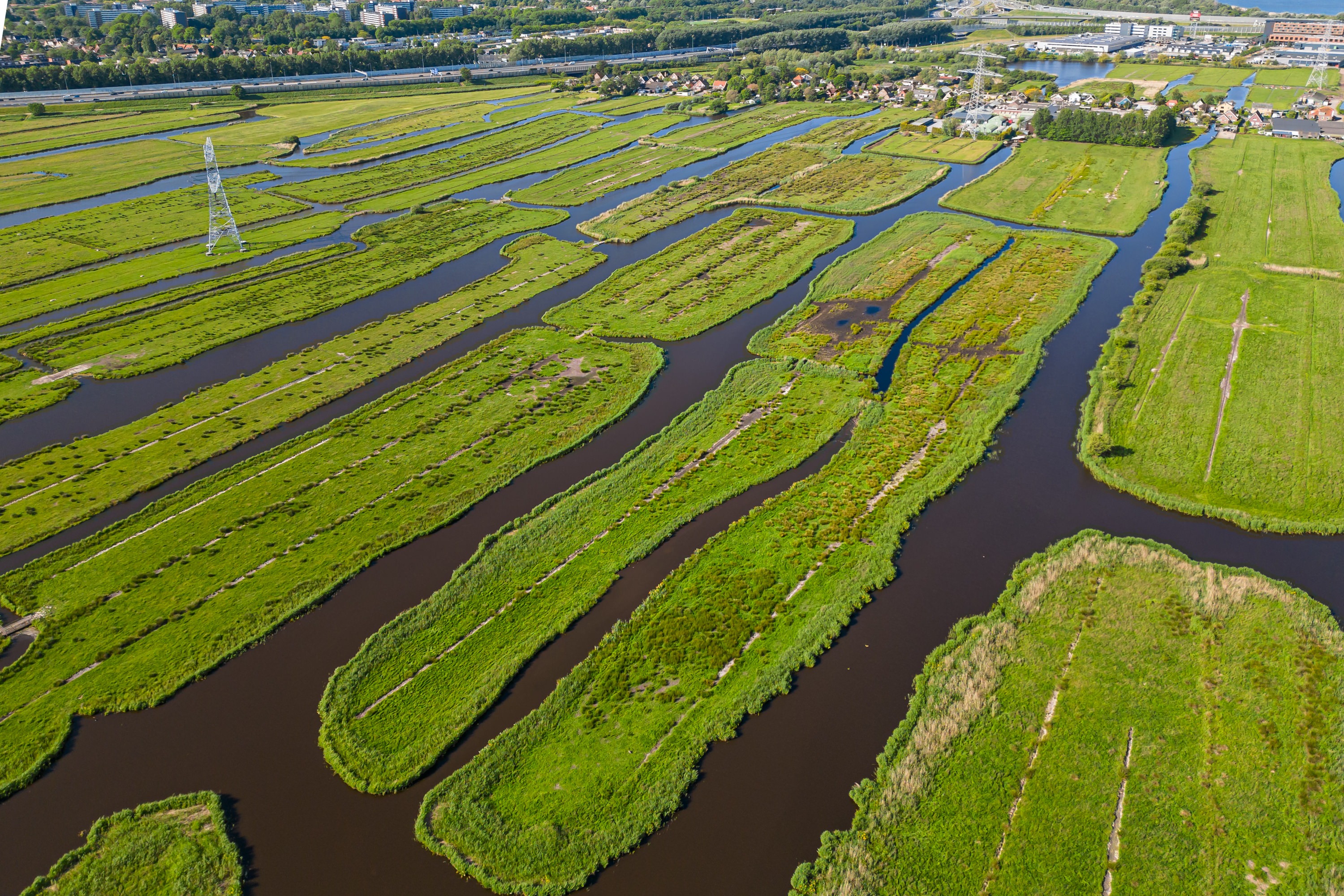 Oostzaan, Oostzaan  image