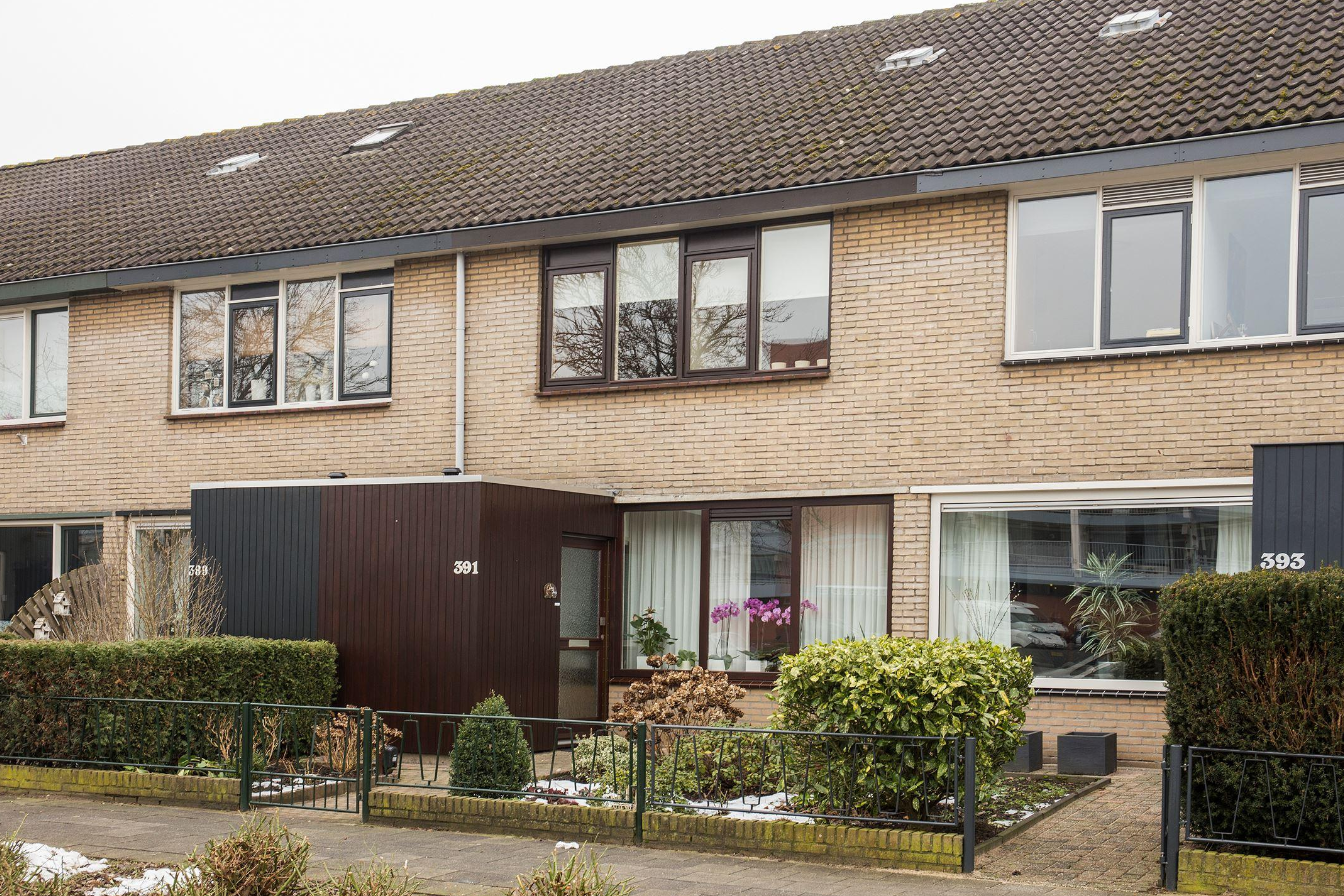 Tiel, Wadenoijenlaan 391 image