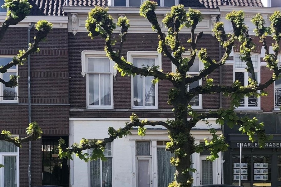 Breda, Mauritsstraat 1 image