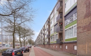 Tilburg, Statenlaan 173 image