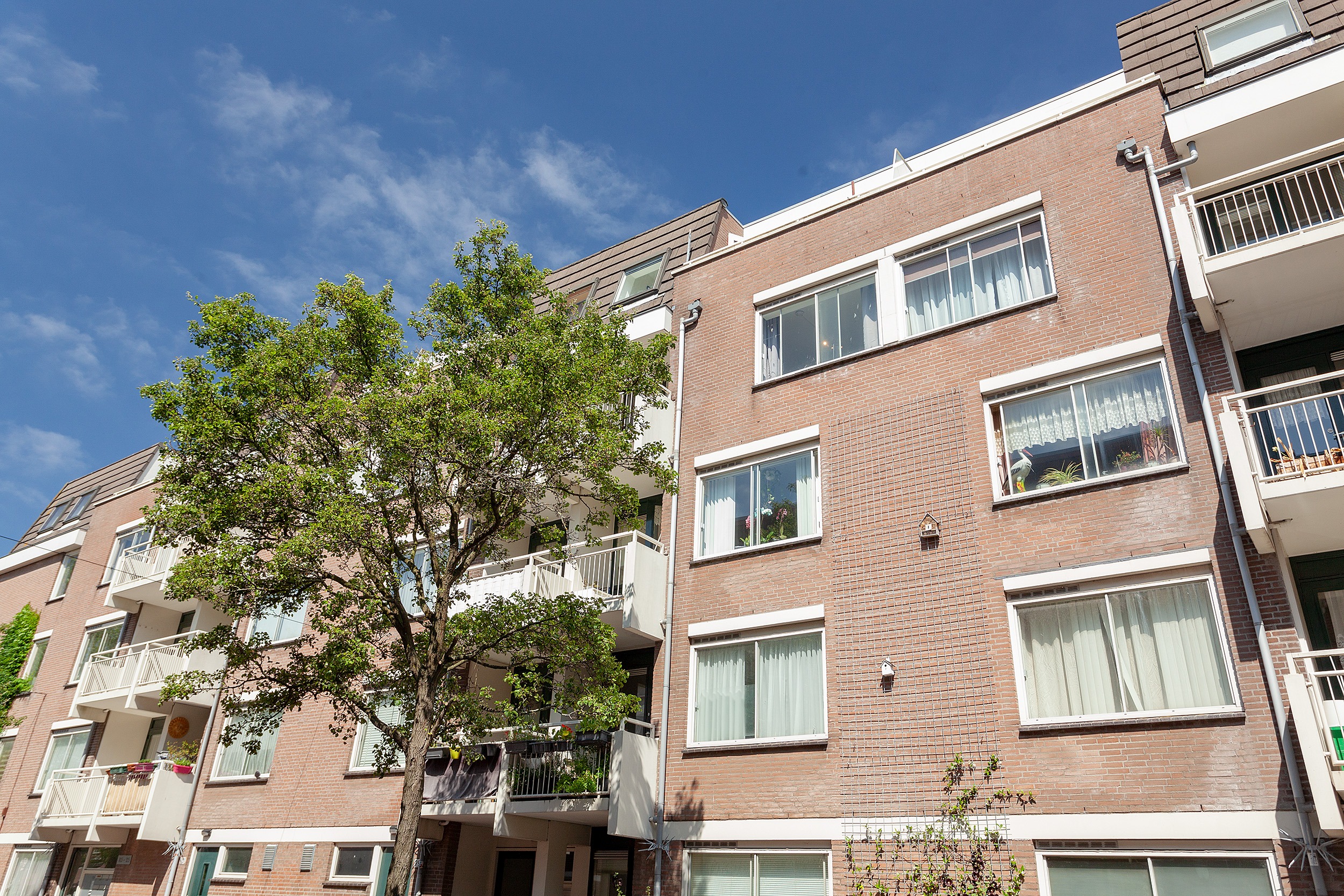 Image of Den Haag, Hamerstraat 97