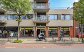 Zeist, Steynlaan 4 image