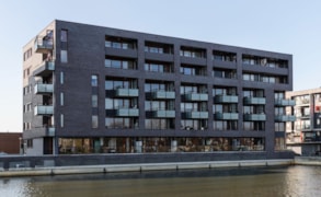 Breda, Waterweegbree 63 image