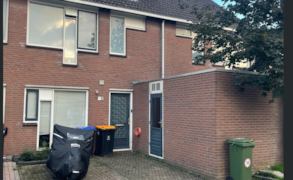 Stichtse Vecht, Zebraspoor 717 image