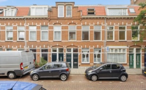 Den Haag, Cartesiusstraat 149 image